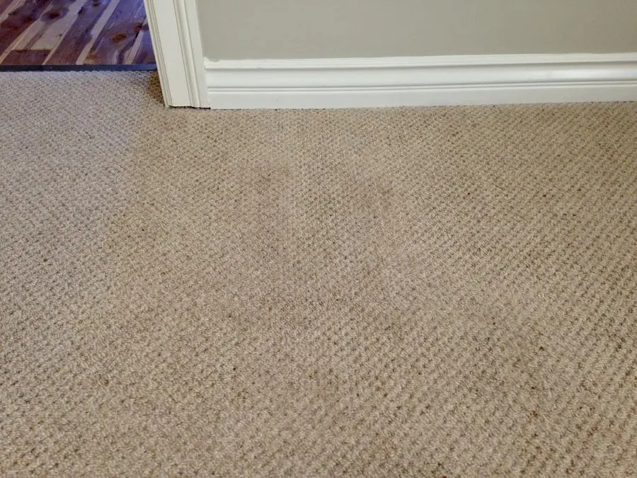 Carpet Repair Guys-美圖2